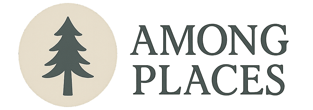 Among Places